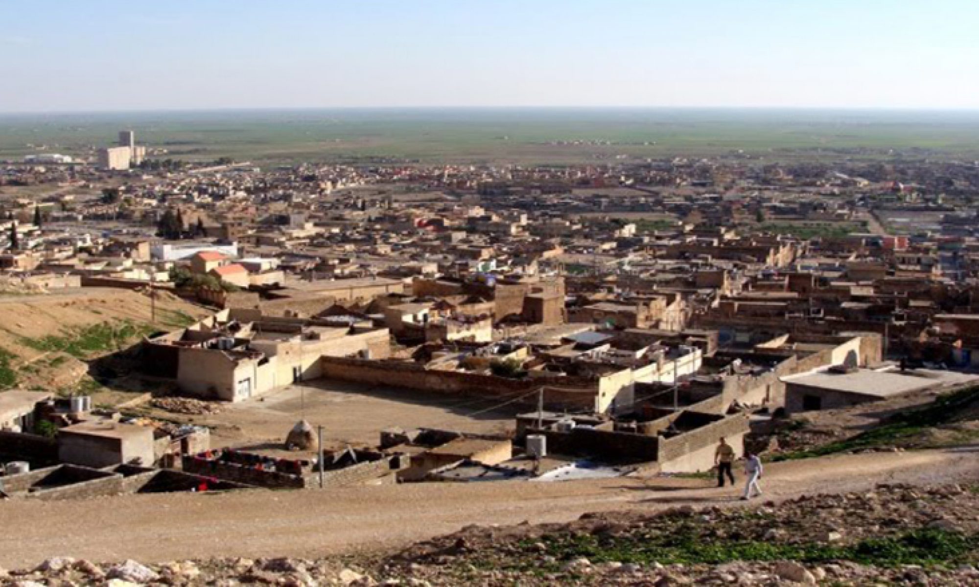 Şengal'in Werdiye köyünde 5 bin dönüm toprak Arap işgali altında
