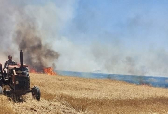 Göç etmeleri için arazileri yakılan Kerküklü Kürt çiftçiler topraklarından nöbet tutuyor