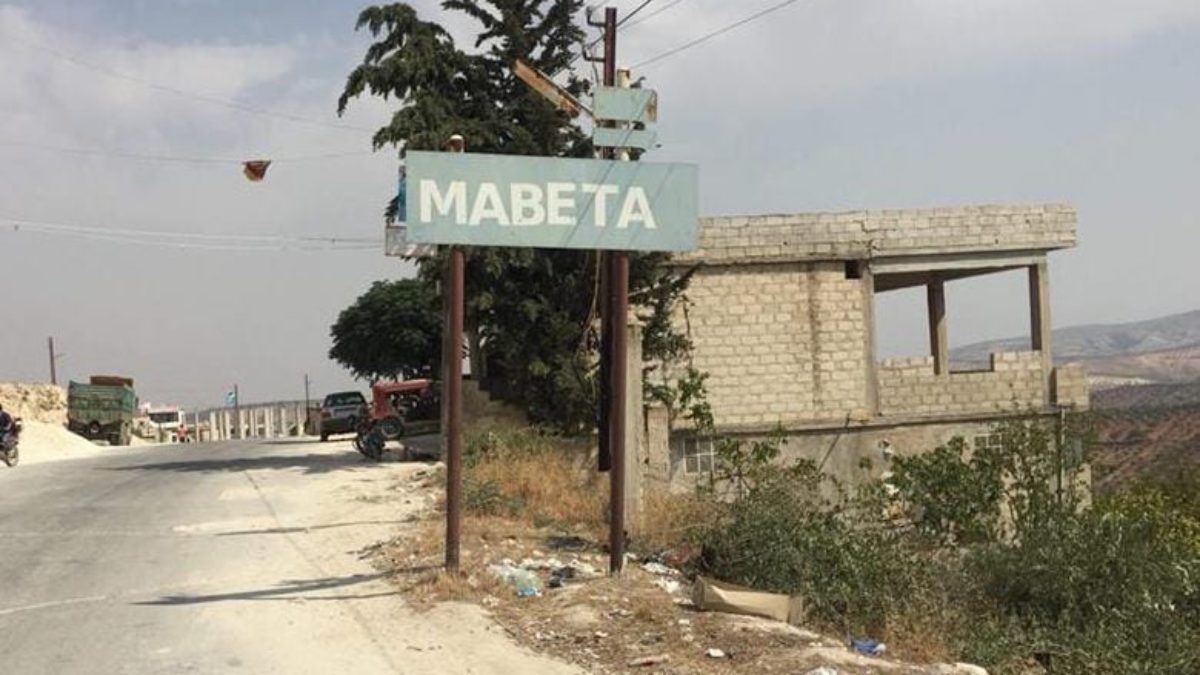 Türkiye'ye bağlı çetelerin Efrin'deki zeytin ağacı katilamı, bu kez Mabata'da 1500 ağaç kesildi