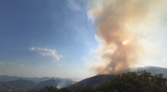 PAK: Kürdistan ve Türkiye kamuoyunu Dersim'deki orman yangını için harekete geçmeye çağırıyoruz