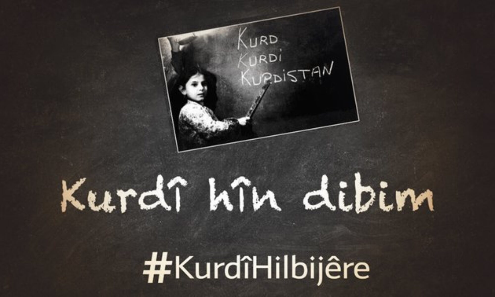 Hangi ilde kaç öğrenci Kürtçe seçmeli dersleri tercih etti?
