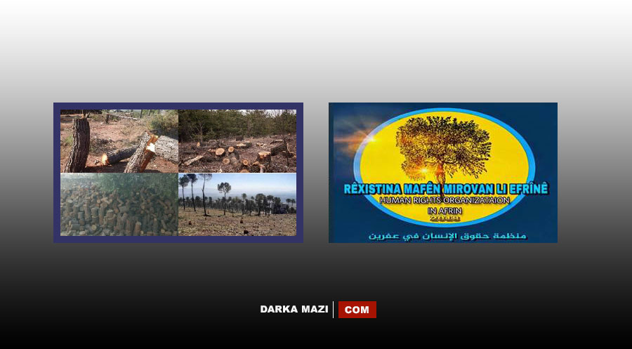 Efrin İnsan Hakları Örgütü Efrin'de ki ağaç katilamına ilişkin yeni bir rapor yayınladı