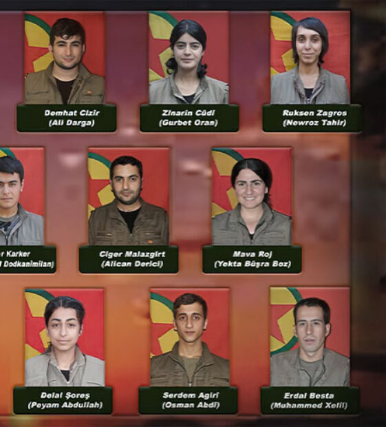 Hayatını kaybeden 17 HPG gerillası, nedenler, sonuçlar ve sorumlular