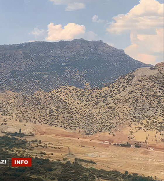 PKK mayını yine sivillerde patladı