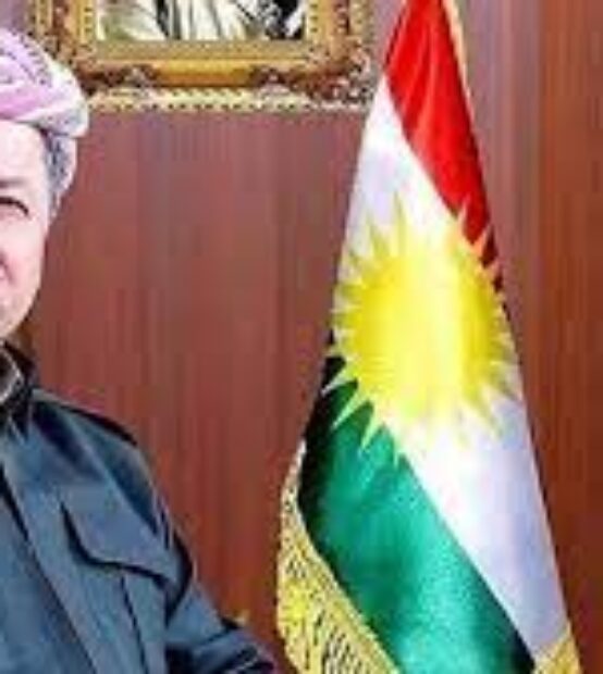 Feyli Kürtlere yönelik soykırımın tanınması konferansı düzenleniyor