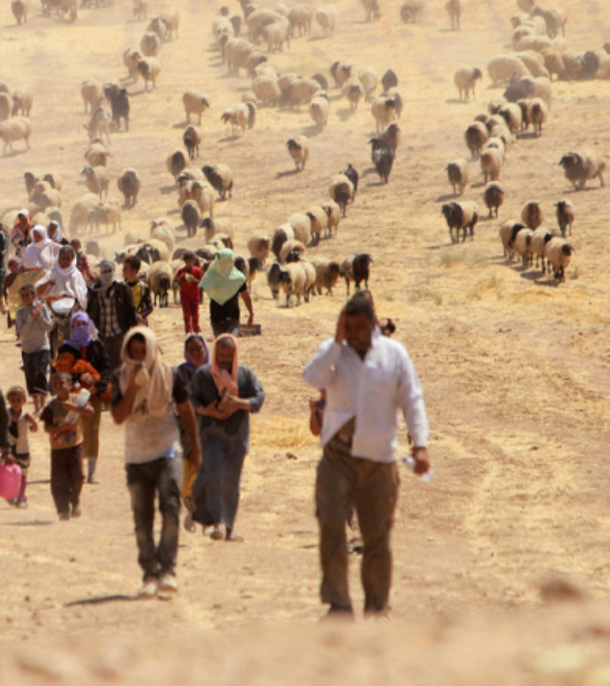 Ezidi Kürtlere yönelik soykırımın tanınması için İsviçre Parlamentosu’na teklif sunulacak