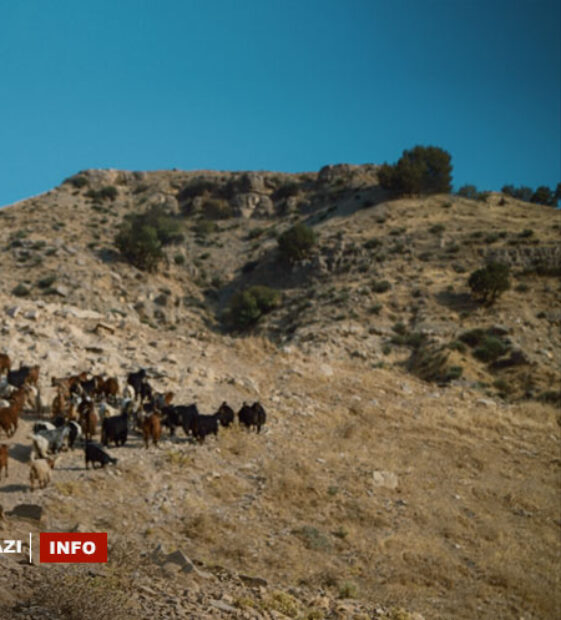 Süleymaniye: PKK, köylüyü önce kaçırıp işkence etti, sonra bırakmak için fidye istedi