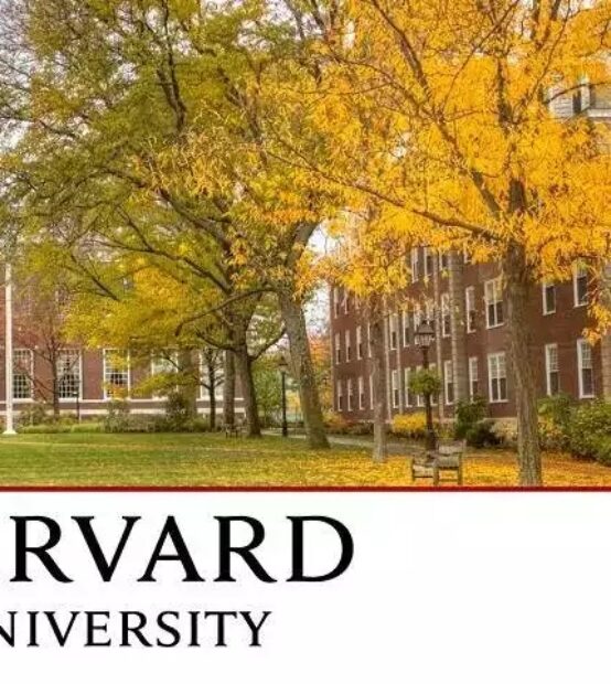 Harvard Üniversitesinden Kürtçe kursu