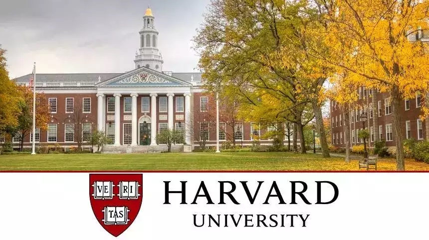 Harvard Üniversitesinden Kürtçe kursu