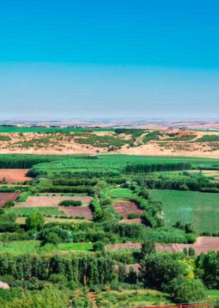 Tevrat ve Kur’an’da bahsedilen ‘Aden Cenneti’ Diyarbakır’daki Hevsel Bahçeleri mi?