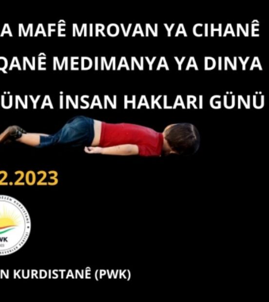 PWK: BM ve Dünya Devletleri’ni İnsan Hakları Evrensel Bildirgesi’nin Gereklerini Yerine Getirmeye Çağırıyoruz!